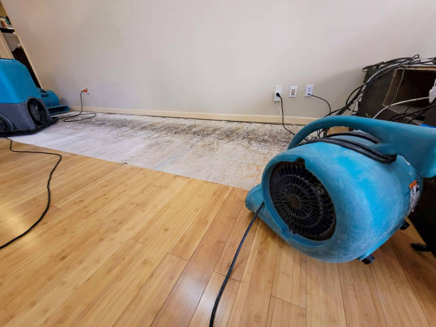 Professional Sewage Cleanup technician working in Windsor, VA